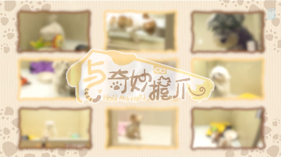 與奇妙握爪